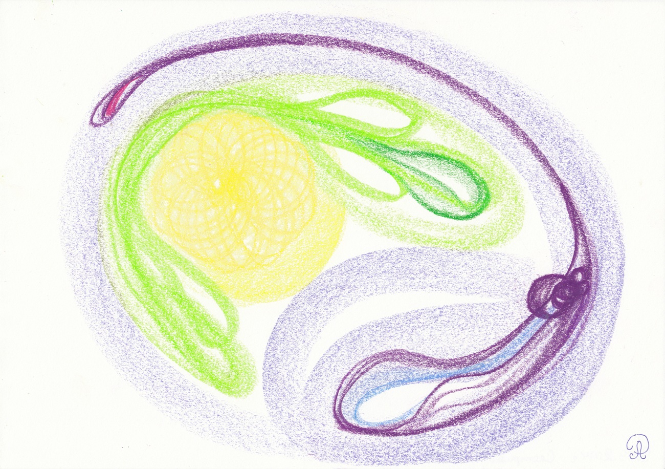 Послание-Картина