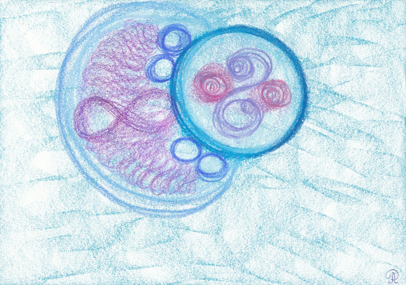 Послание-Картина